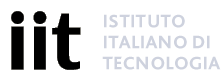 FONDAZIONE ISTITUTO ITALIANO DI TECNOLOGIA (IIT)