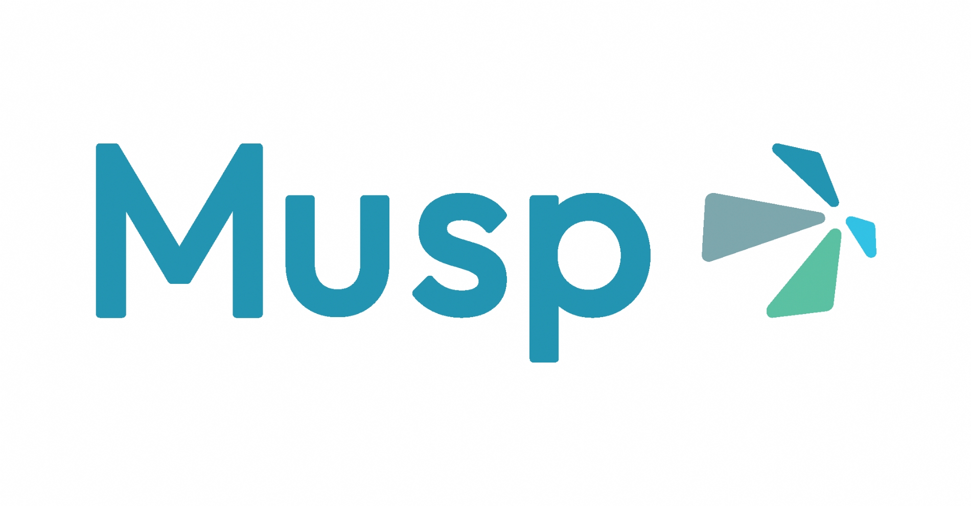 CONSORZIO MUSP